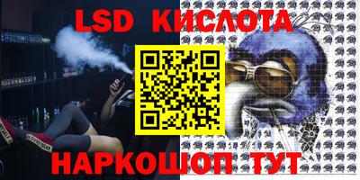 PSILOCYBIN Моздок