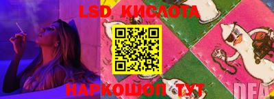 ешки Можга