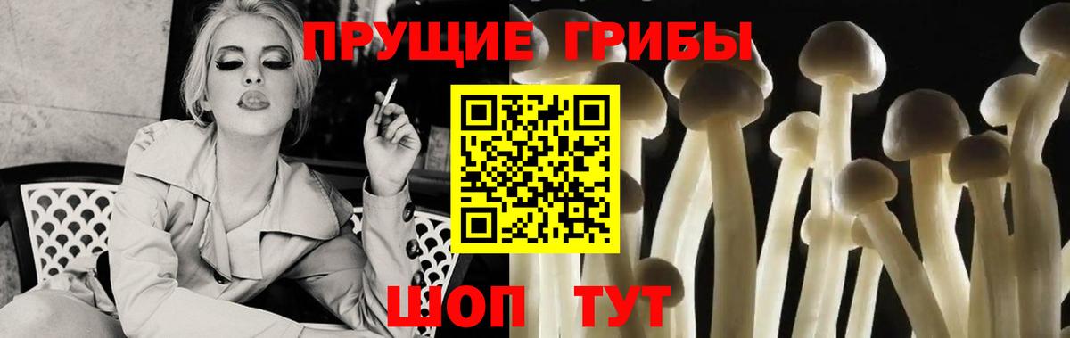 что такое   Вход с VPN  Шали  Галлюциногенные грибы Cubensis  Псилоцибиновые грибы Psilocybe 
