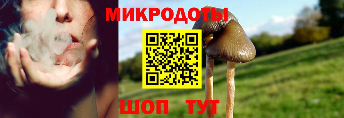 Галлюциногенные грибы GOLDEN TEACHER Шали